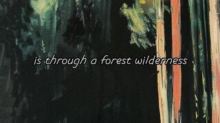 ~The Clearest Way Into The Universe Is Through A Forest Wilderness~