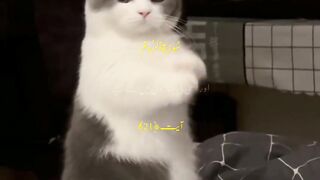 Urdu Quran # #quran #trending #viral #ytshorts #shorts #urdu #IslamicINFO