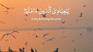 Recite Surah