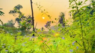May your sweet smile touch the soul in the afternoon sun