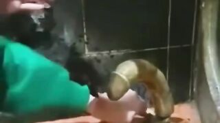 Funny video in Bathroom