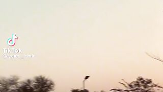 Tawaqu