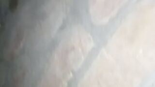 Layoult