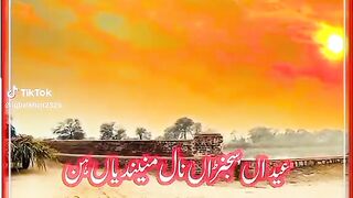 Nice sar
