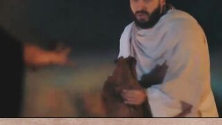 المداح