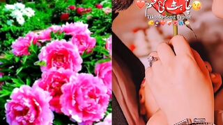 Chahat ki kasam bechre he na hum