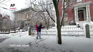 April nor'easter brings heavy, wet snow, joy and misery to Northeast US.