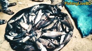 Amazing fishing video 2024