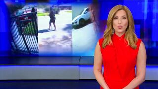 Woman Accused of Smashing Car Windshields With Brick.