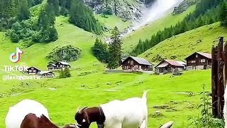 Environment| Good | Mashallah