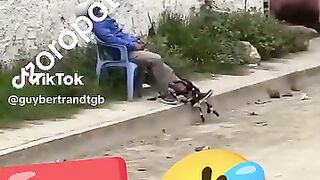Funny sleep