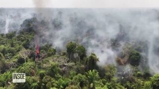 Brazil and Colombia Successfully Slow Tropical Forest Loss.