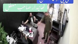 وردی کی عزت