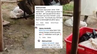 Hampir MUSTAHIL budidaya lele TANPA SORTIR❗Gak percaya, mari kita buktikan❓