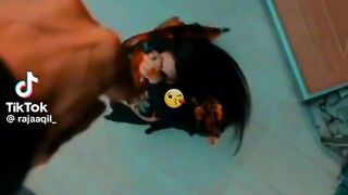 Funny video boom video viral video most beautiful video very funny video