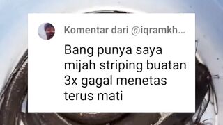 Jangan kalian pikir pemijahan lele secara INTENSIF (striping) itu mudah