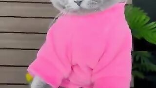 Emotional video