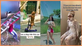 ???????? tiktoks virales memes y mas????????????????