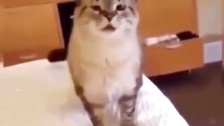????????