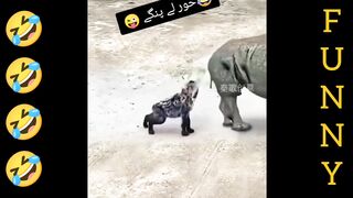 Full funny moments video