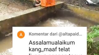Tebar bibit lele 4rb ekor tapi panen 300kg, Padahal diperiode pertama tebar bibit 4rb ekor panen hampir 600kg