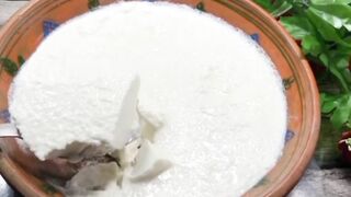 Behtareen Dahi banany ka tariqa