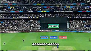 cricket lovers