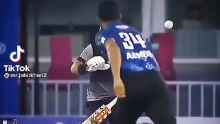 cricket lovers
