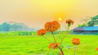 Fall in love with nature, life is beautiful
