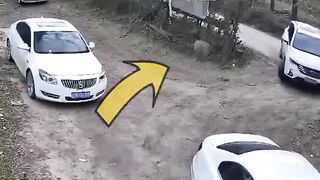 اغرب من الخيال