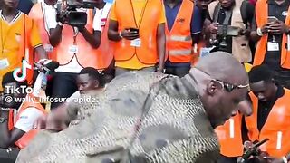 Africa dance