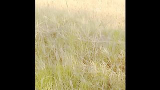 My video