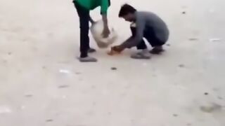 Funny video. Comedy video. Shorts. New video. Trending video.