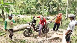 Skilled wood taxi worker.
