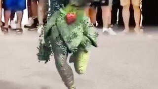 নাচ ময়ূরী...!!!