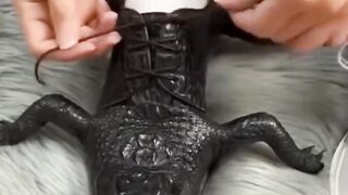 Crocodile shaped shoes