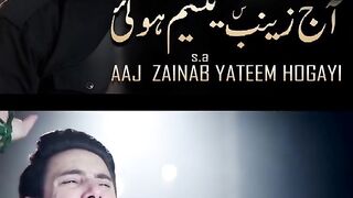 Farhan Ali Waris | Aj Zainab Yateem Ho Gai | Noha | 21 RAMZAN - SHAHADAT E MOLA ALI