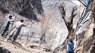 Lakd katate hue Arif ba please subscribe to my channel