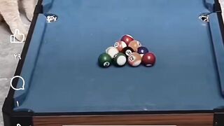cheat ????????????