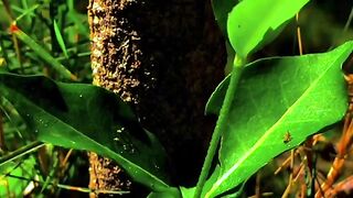 Créative avec la nature