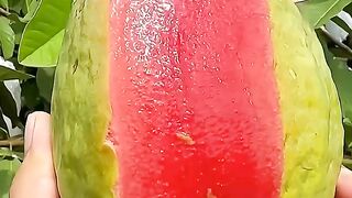 wow amzing video