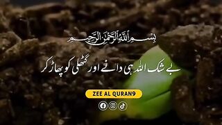 Quran
