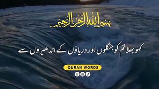 Quran