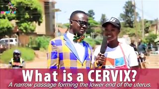 What is a cervix