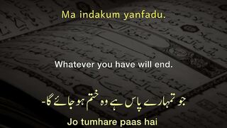 Surah Nahl Urdu Urdu Translation