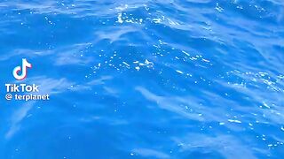 Blue sea