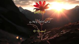 Urdu Quran # #quran #trending #viral #ytshorts #shorts #urdu #IslamicINFO
