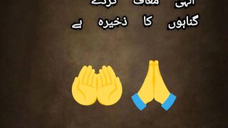 "گناہوں کا ذخیرہ"