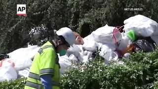 Cleanup begins at Los Angeles 'trash house' where entire property is filled with garbage and junk.