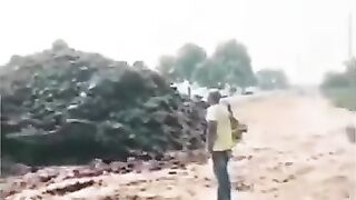 Dangerous
